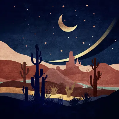 Desert Nightscape, wall art by Emel Tunaboylu