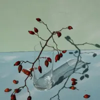 Rose Hips Still Life, wall art by Donatella Basso