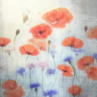 Soft Poppy Meadow, wall art by Catherine Wang