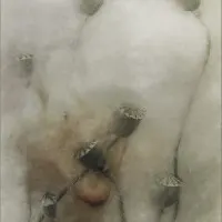 Soft Poppy Dreams, wall art by Gilbert Claes