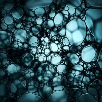 Fluid Teal Network, wall art by Niels Christian Wulff