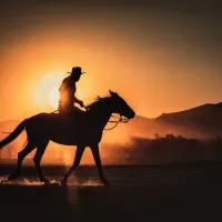 Cowboy Sunset Ride, wall art by M. Emre Erol