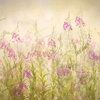 Summerfeeling, wall art by Nel Talen