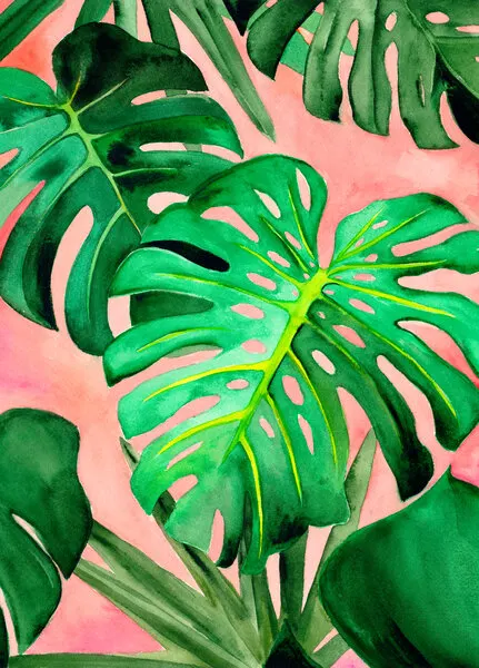 Pink Tropical Monstera, wall art by Christine Lindstrom