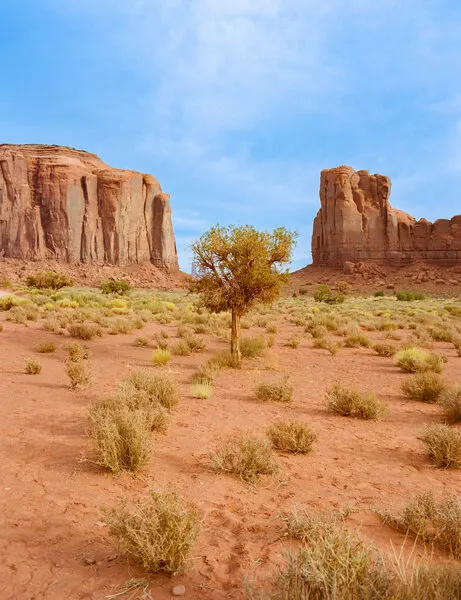 Southwest Desert Landscape, wall art by Bethany Young