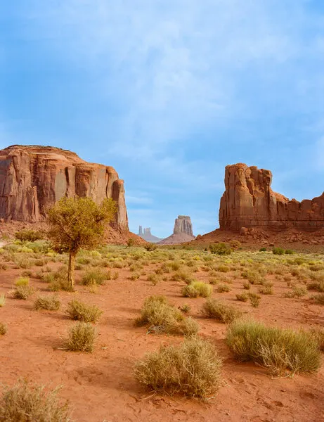 Monument Valley Desert Landscape, wall art by Bethany Young