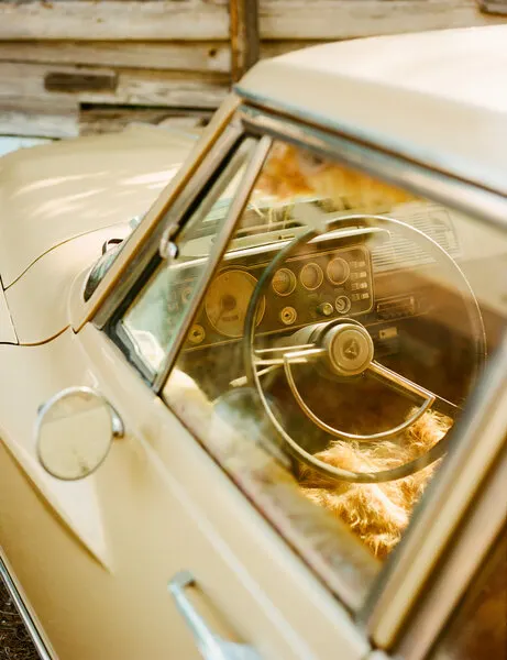 Sunny Vintage Interior, wall art by Bethany Young