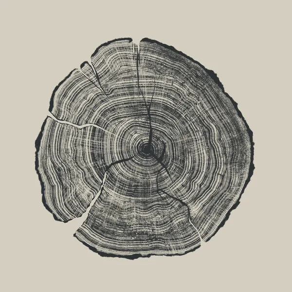 Hand Drawn Oak, wall art by Dan Hobday