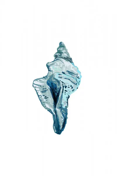 Blue Conch Shell, wall art by cartissi