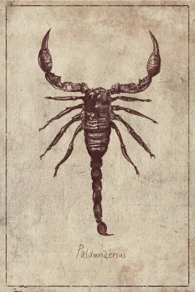 Palamnaersus Specie, wall art by Mike Koubou