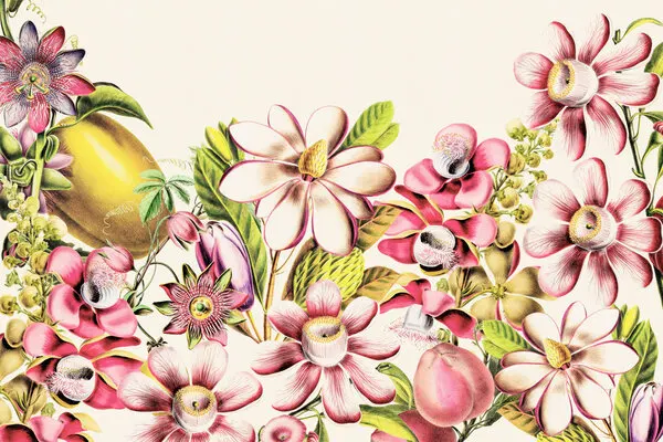 Vibrant Botanical Flowers, wall art by Uta Naumann