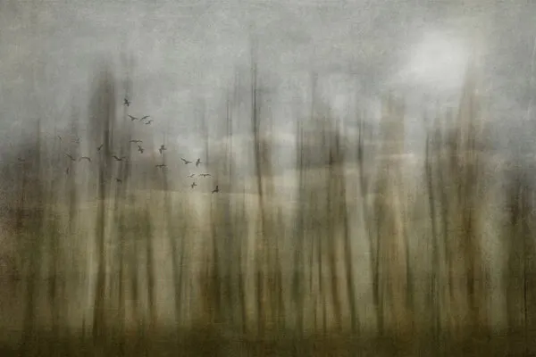 Ethereal Forest Flight, wall art by Yvette Depaepe