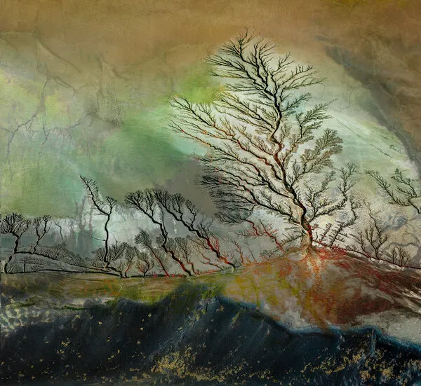 Natural Branching Landscape, wall art by Shenshen Dou