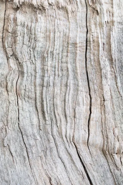 Weathered Wood Grain, wall art by Pictufy Studio III
