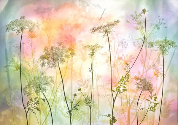 Ethereal Pastel Wildflowers, wall art by Hilda van der Lee