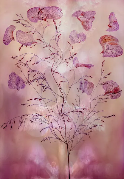 Ethereal Pink Botanicals, wall art by Hilda van der Lee