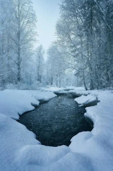 Winter Forest Stream, wall art by Javier de la Torre