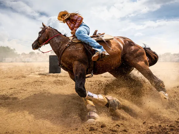 Barrel Racing Action, wall art by Steven Zhou