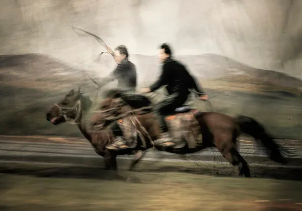 Fast Horse Racing, wall art by Rachel Pansky