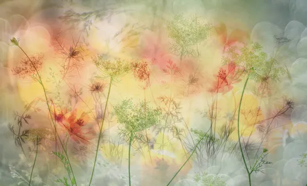 Dreamy Garden Flowers, wall art by Hilda van der Lee
