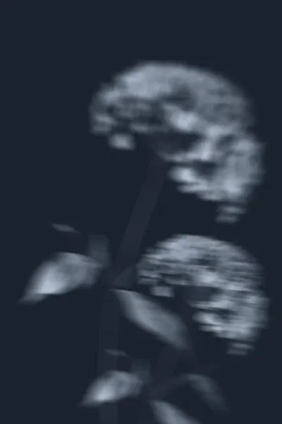 Mysterious Blurred Flowers, wall art by THE MIUUS STUDIO