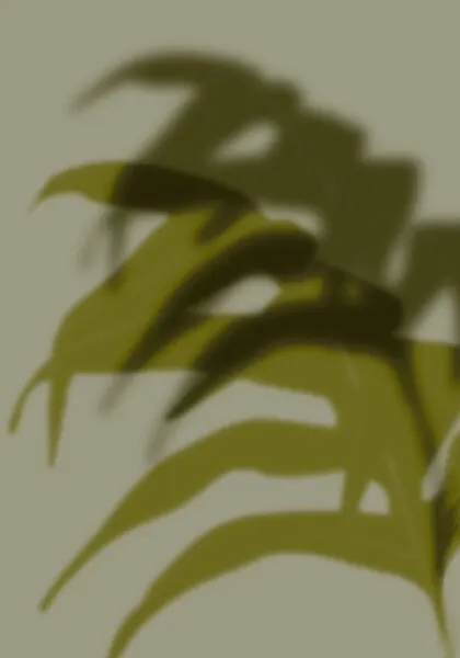 Tropical Shadow Play, wall art by THE MIUUS STUDIO