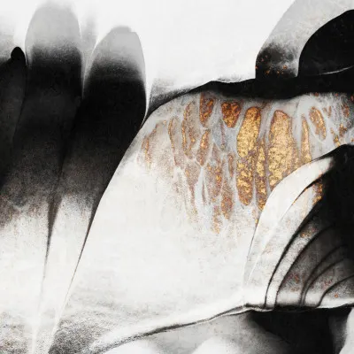 Fluid Gold Contrast, wall art by Elisabeth Fredriksson