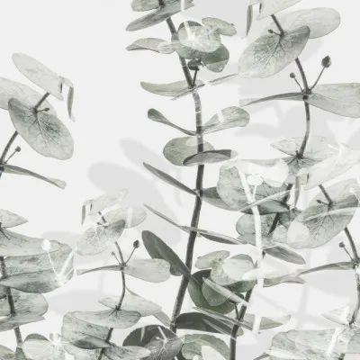 Soft Eucalyptus Layers, wall art by Pictufy Studio III