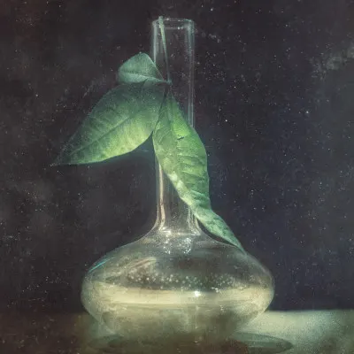 Quiet Botanical Flask, wall art by Elisabeth van Helden