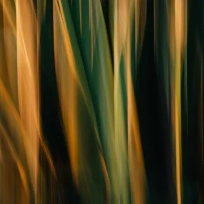 Golden Green Blur, wall art by Misaki Saito
