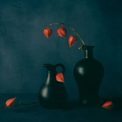 Moody Chinese Lanterns, wall art by May G
