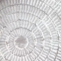 Abstract Concentric Pattern, wall art by Pictufy Studio III