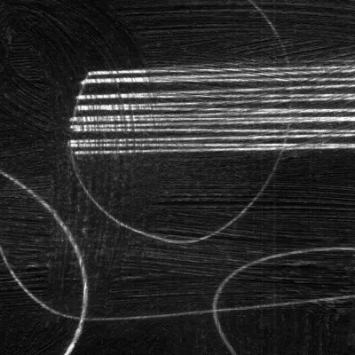 Black 2, wall art by Dan Hobday