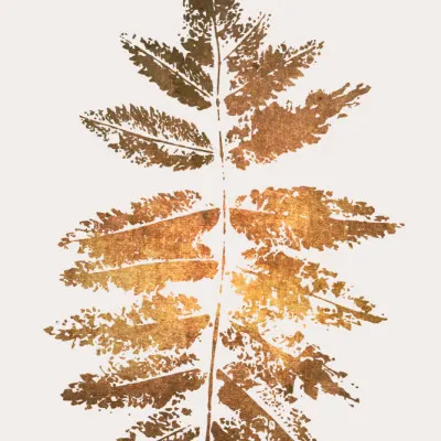 Oak Leaf Print   Gold, wall art by Kubistika