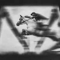 Dynamic Horse Jump, wall art by Antonyus Bunjamin (Abe)
