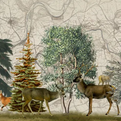 Forest Wildlife on Map, wall art by Andrea Haase