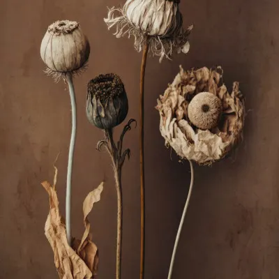 Faded Elegance, wall art by Treechild