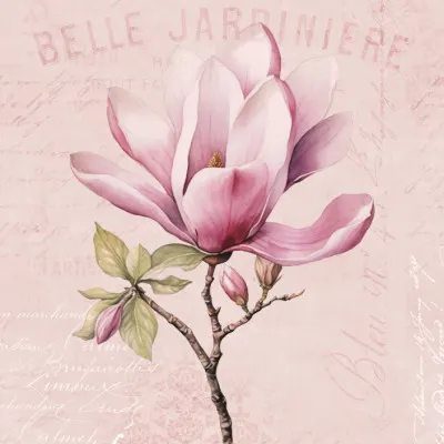 Pink Magnolia Bloom, wall art by Andrea Haase