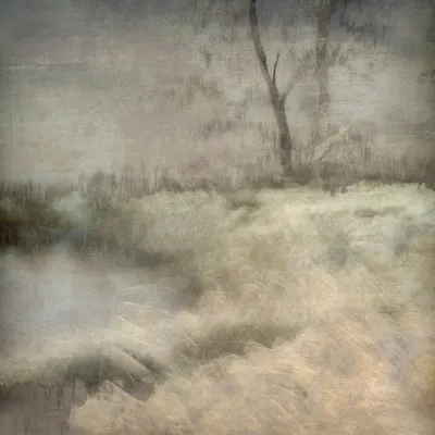 Little ven, wall art by Nel Talen