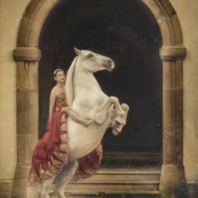Regal Woman and White Horse, wall art by Katarzyna Olczak