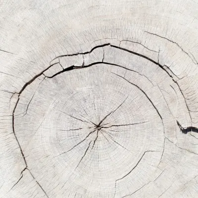 Light Wood Grain Texture, wall art by Pictufy Studio III