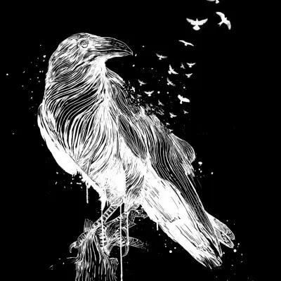 White Crow Freedom, wall art by Balazs Solti