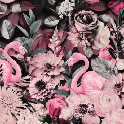 Pink Flamingo Dream, wall art by Andrea Haase