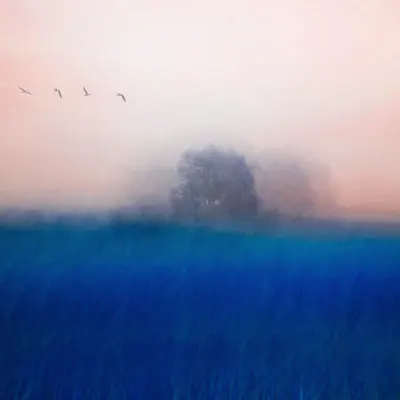 Dreamy Misty Blue Field, wall art by Chung gook Yang