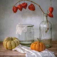 Still life with Physalis and Pumpkin, wall art by Mandy Disher
