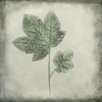 Elegant Green Leaves, wall art by Cicek Kiral
