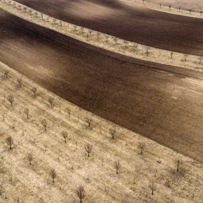 Waving Farm Fields, wall art by Joško Šimic