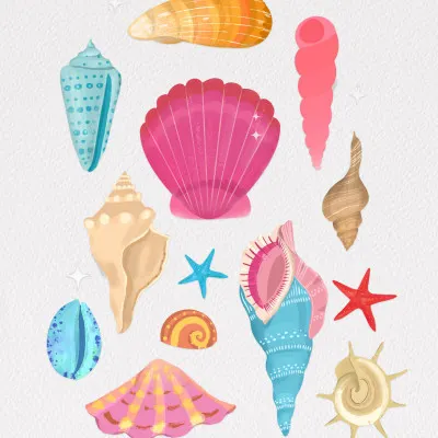 Seashells, wall art by Petra Lizde