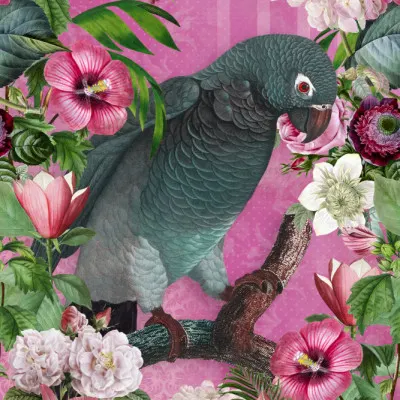 Tropical Parrot Bloom, wall art by Andrea Haase