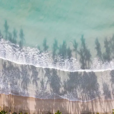 To the Beach, wall art by Raisa Zwart
